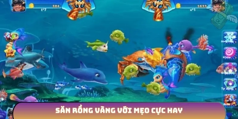 Săn rồng vàng với mẹo cực hay